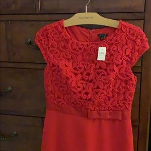 Ann Taylor lace sheath - NWT